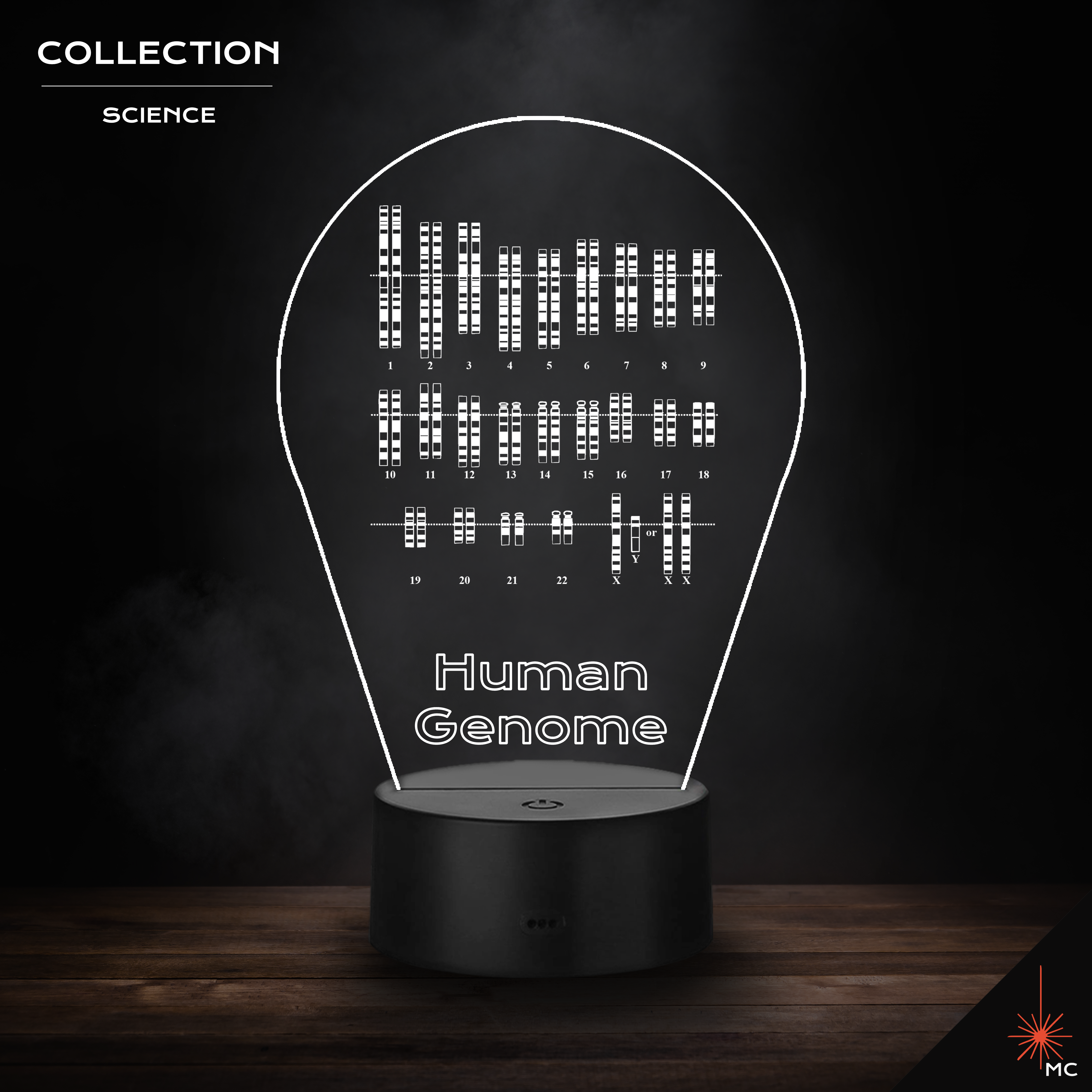 LED Lamp - Human Genome (Science)